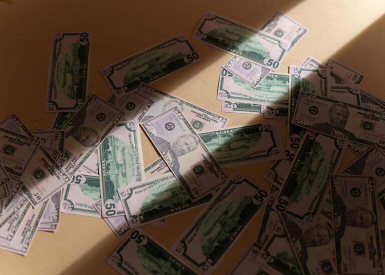 Welke vormen van ondersteuning worden steeds belangrijker voor studenten die zonder financieel voorbehoud verdienen?